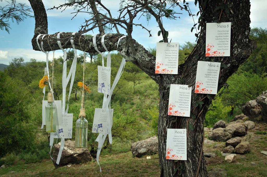 Propuestas, detalles y colores